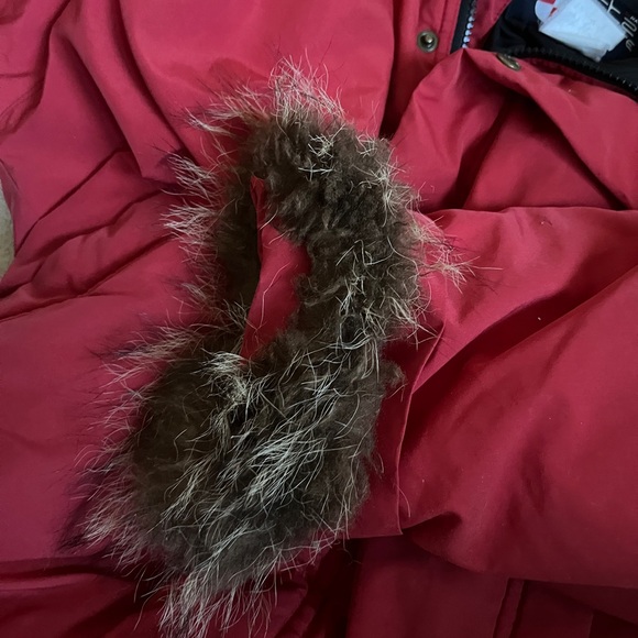 Quartz Nature Parka - Picture 6 of 12